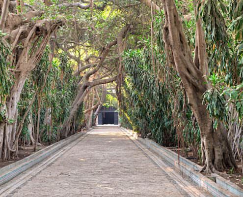 Passage through trees leading to closed door at the public park of The Manial Palace of Prince Mohammed Ali Tewfik, Cairo